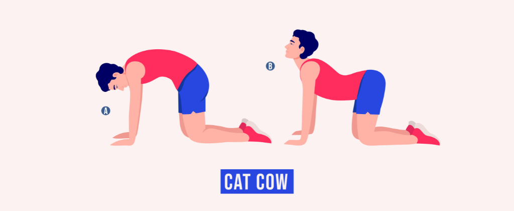 Cat and Cow Stretch for back pain relief